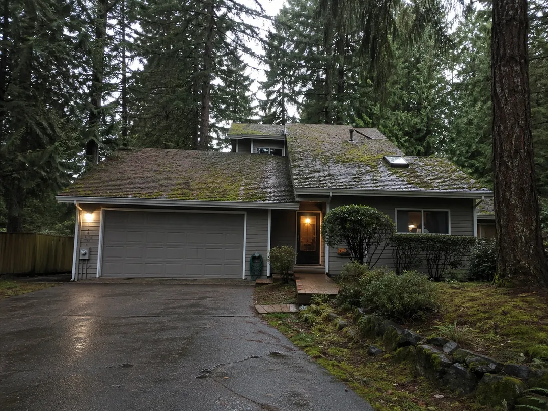 Why Moss Grows So Fast on Bellingham Roofs