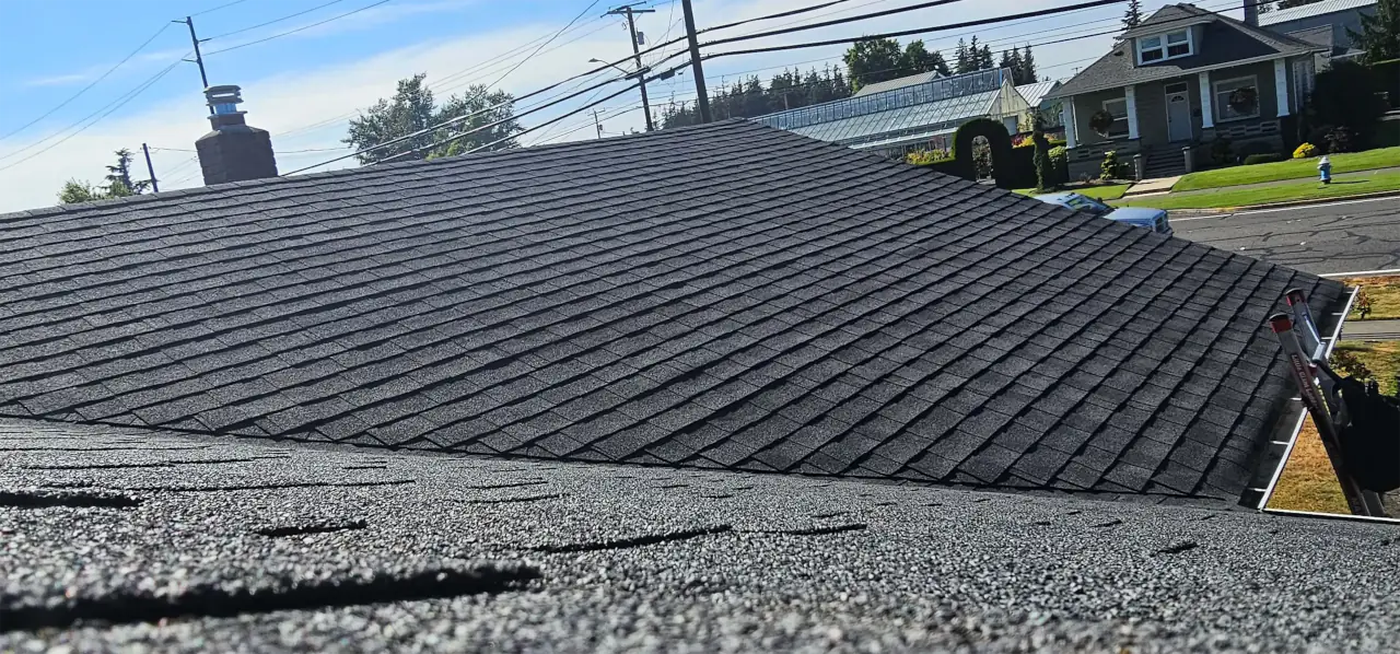 Clean residential roof after Whatcom Roof Cleaning service