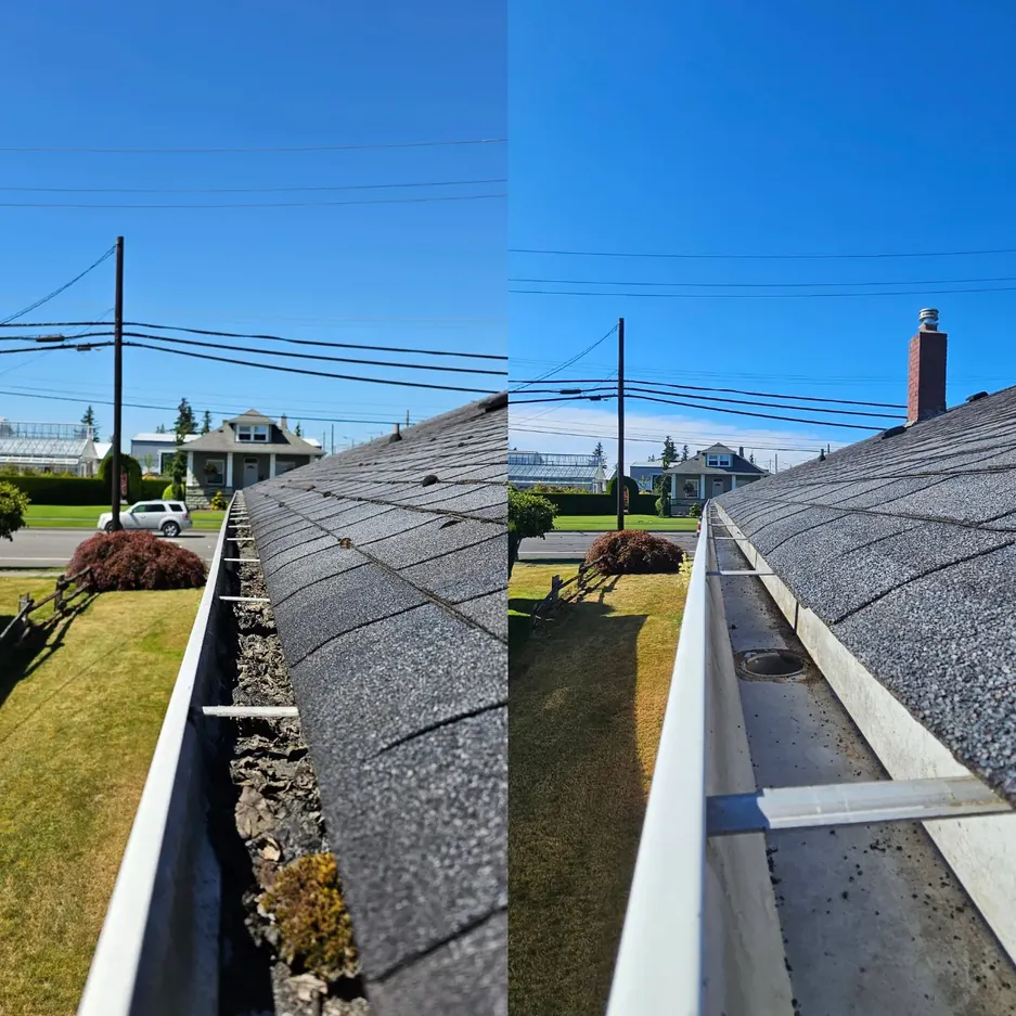 Roof before and after professional cleaning with full-house treatment