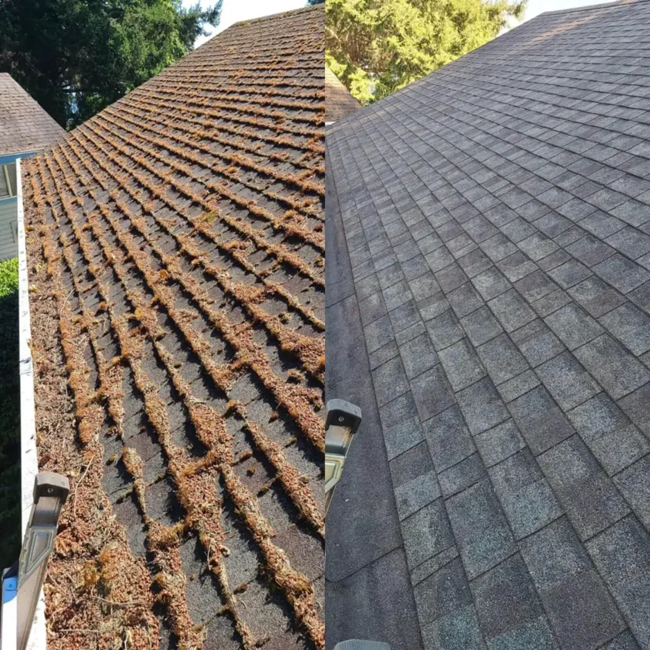 Roof before and after professional cleaning service