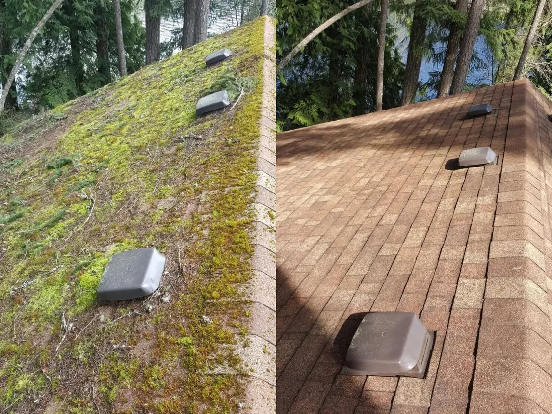 Before and after roof cleaning results on a Whatcom County home